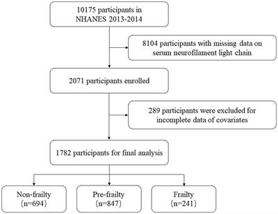 Association of frailty and serum neurofilament light chain levels: the mediating role of estimated glomerular filtration rate